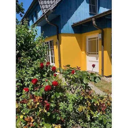 Pearl Modern Retreat * Zingst